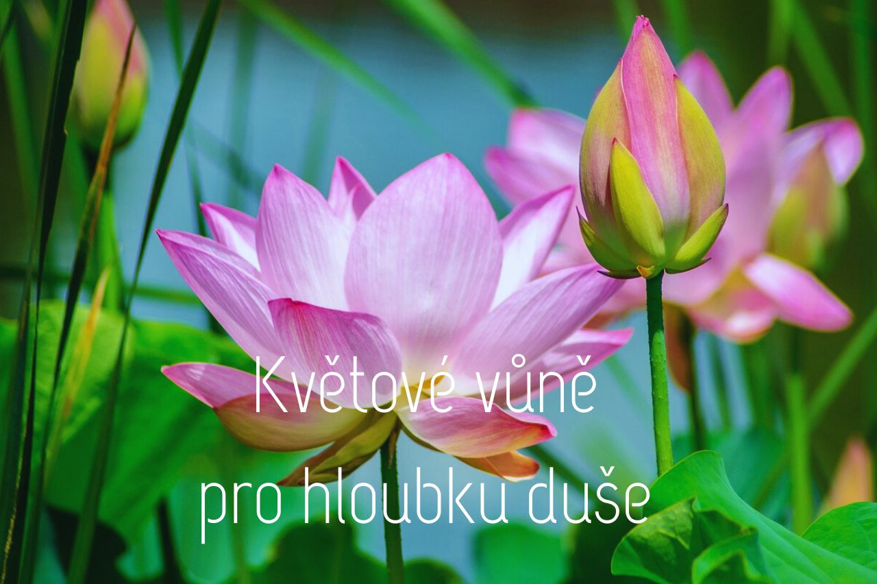 Vůně květů pronikají hluboko do našich duší