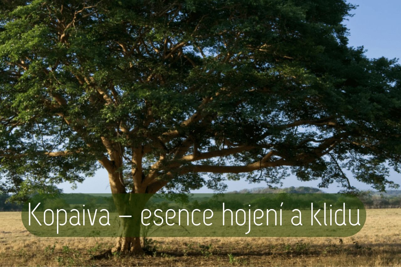 Copaifera officinalis