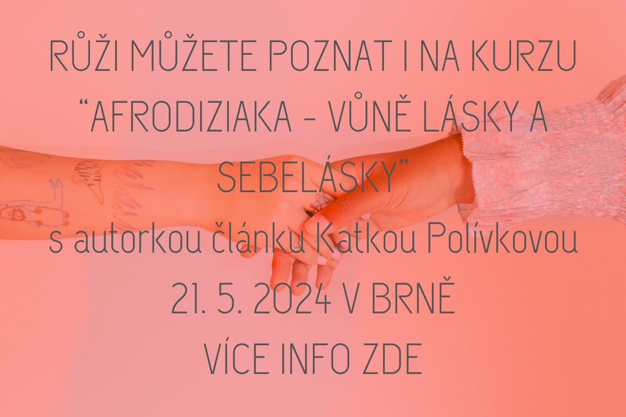 Vůně růže patří mezi afrodiziaka