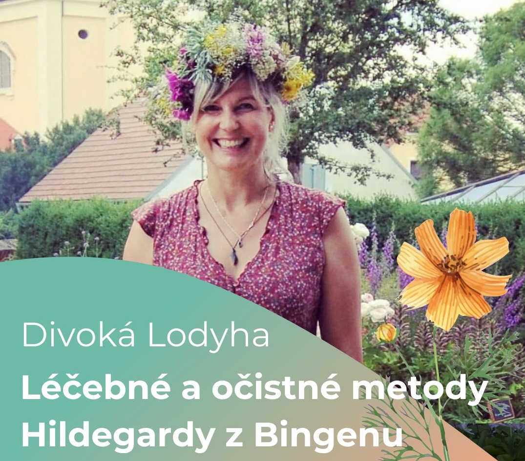 424967650_928047975996072_1190170103986638104_n