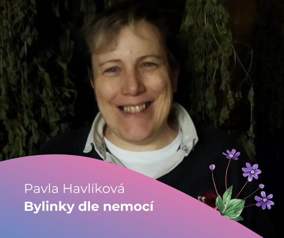 medajlonky jarní festival - obdélník