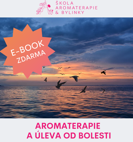 Snímek obrazovky 2025-02-06 142150