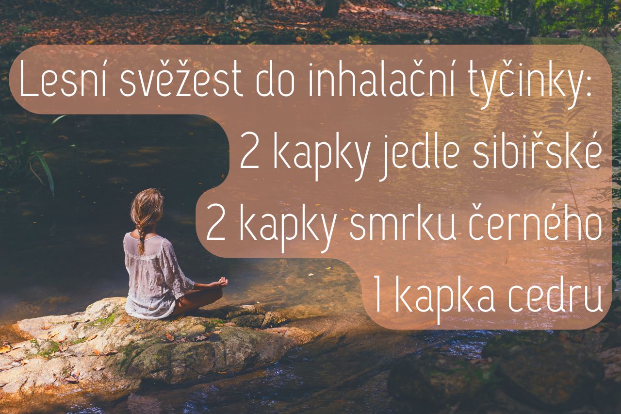 Jehličnany pro relaxaci