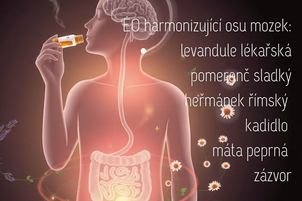 mozek-strevo-aromaterapie