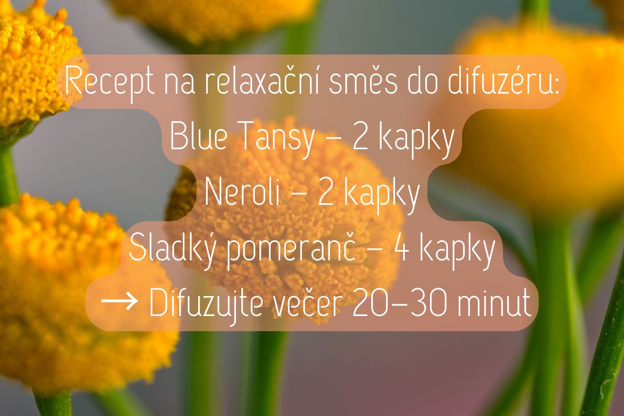 Blue Tansy relaxace