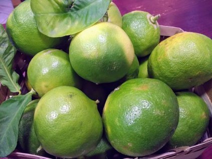bergamot reggio calabria