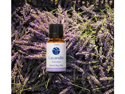 LAVANDIN GROSSO LOUKA