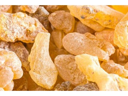 kadidlo carteri essentia nobilis