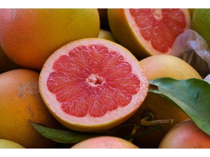 grapefruit ruzovy essentia nobilis