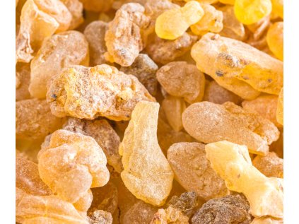 Návrh bez názvu(1)